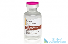 �����鵥�����������鵥������HER2�����������ٰ�����Ч��ô����