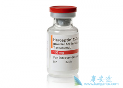 HER2�����������ٰ�ʹ�������鵥�����������鵥��������ô����