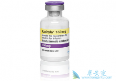 HER2�������ٰ�����ʹ��Kadcyla��T-DM1����Ч����ô����