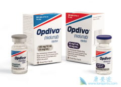 �����Ʒ�Opdivo��չ������ҩ��VE800��������������