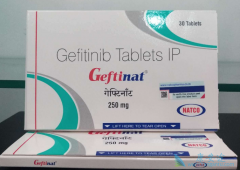 ��������(Gefinat)��Ҫ��Ϊ���ߵĸ����ϰ����м���������