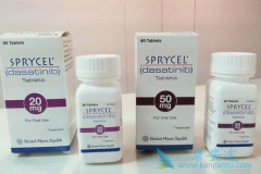 ��ɳ����(Dasanix)�����ڶ�ͯ��Ѫ�����������ѵĻ���