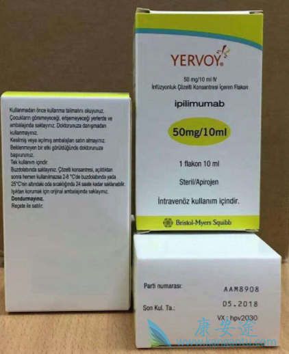 ��ƥľ����