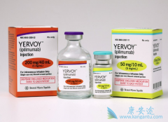 Yervoy��Ipilimumab�����ڵ�һ�����߼������Ƽ�