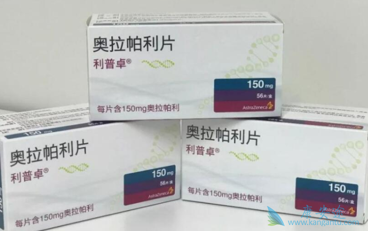 PARP抑制剂 PARP抑制剂