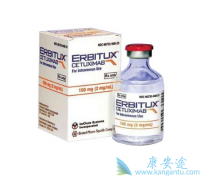 ��EGFRΪ�е�Ľ�ֱ��������ҩ���������������������Щ��