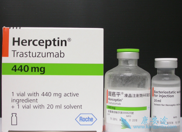 HER2阳性乳腺癌 HER2阳性乳腺癌