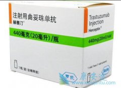 ����͡/�����鵥�����Ʋ������������ٴ���������