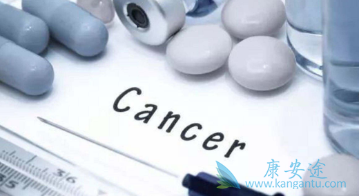 特瑞普利单抗注射液 特瑞普利单抗注射液