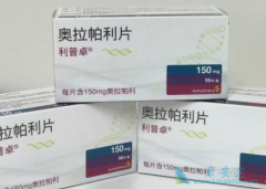 ���й����е��׸�PARP���Ƽ��������������ѳ������ߵ�Ч����ô����