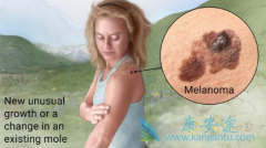 ����PD-1����������������ע��Һ�������ƺ�ɫ��������