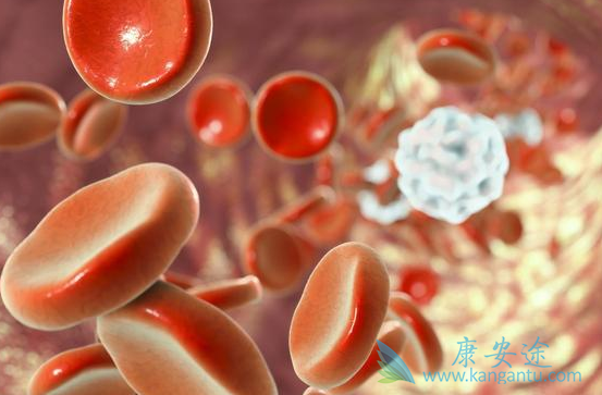 �������ὺ��