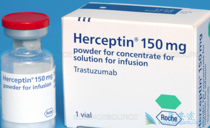 HER2抑制剂 HER2抑制剂
