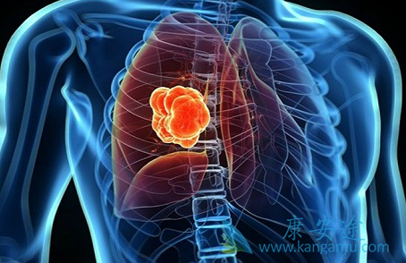 ٤�������Ʒΰ�