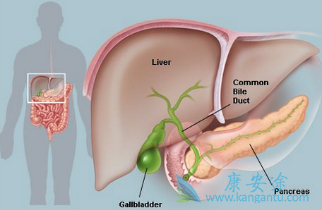 infigratinib infigratinib