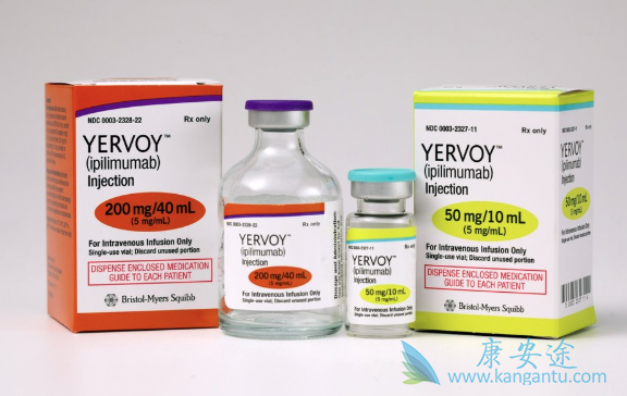 ��ɫ����