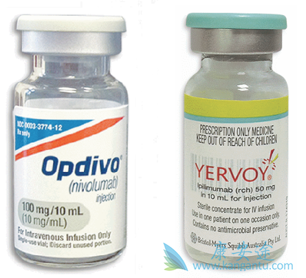 ��ɫ����