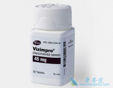 ����ȫ��һ��EGFR���Ƽ�������ᣨVIZIMPRO����ô��