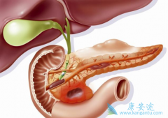 ����ҩ̩����/�����鵥�������Ƶ��Ұ���