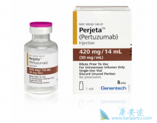 �ڹ������е������鵥��/�����������HER2�������ٰ��İ���ҩ