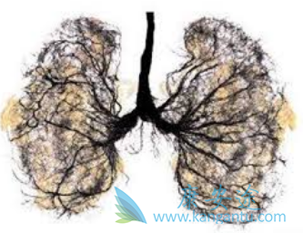 �����Էβ�