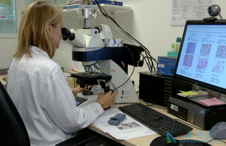 ���������������ٰ�