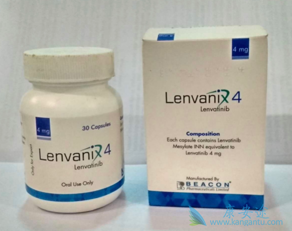 �ַ�����