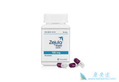 PARP���Ƽ�����������Zejula���������й�����