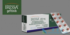 EGFR���Ƽ����������ڶ��Է���Ի��߸�Ϊ����