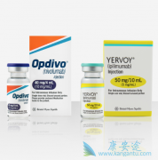 �����Ʒ��������ȵ�����Opdivo���������Ƹΰ�������