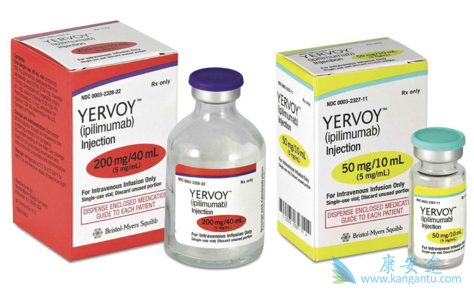 CTLA-4单抗 CTLA-4单抗