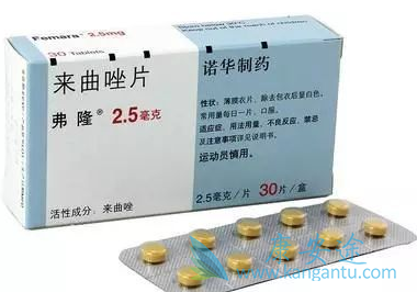 ������Ƭ