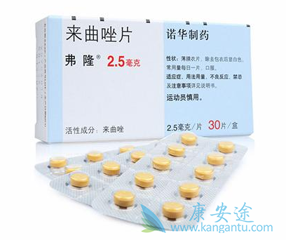 ������Ƭ