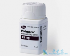 ����EGFR-TKI������ᣨVizimpro����ĿǰEGFRͻ��ΰ���һ������ҩ��