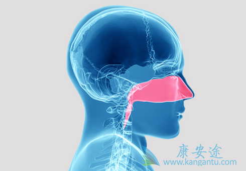 ���ʰ�����