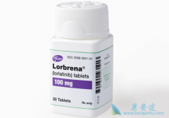 ALK���Եķ�Сϸ���ΰ����ߵ�����ҩ�����������Ѿ�����