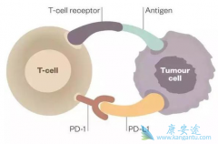 �������鵥�����ƻ�����ܰ������ߵ���Ч��ô����