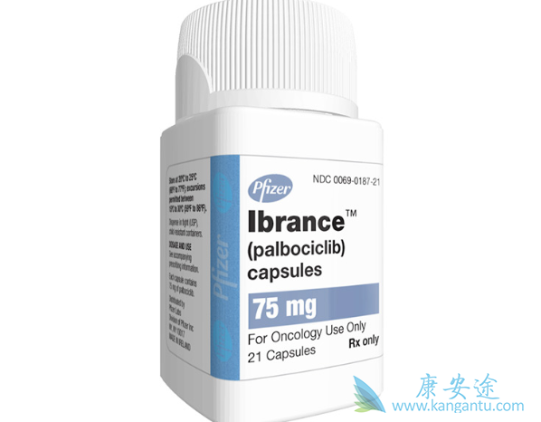 哌柏西利 哌柏西利