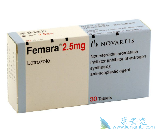 ������Ƭ