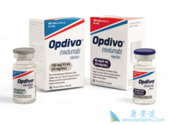 �������ȵ������������鵥�������Ѿ��ڹ������е�PD-1�������Ƽ�