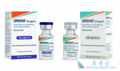 PD-1���Ƽ��������ȵ�������Сϸ���ΰ����ߵ�Ч����ô����