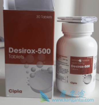 ������˾