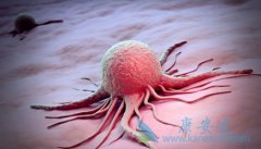 ����������ӳ�������������֯�������ߵ��޽�չ������