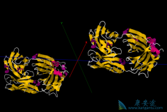 ������/�����������벼����������ʱ����ʲô������