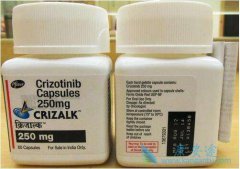 �ڶ���ALK���Ƽ��ǿ�������(crizotinib)��ҩ�����Ҫѡ��