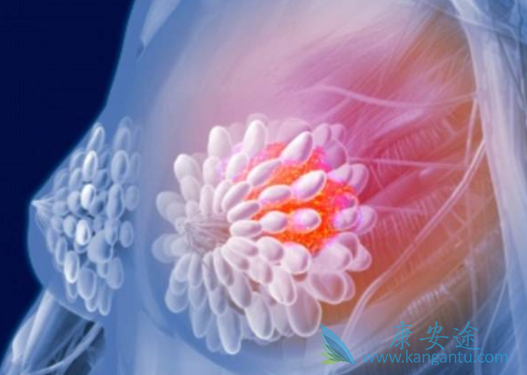 �����鵥��