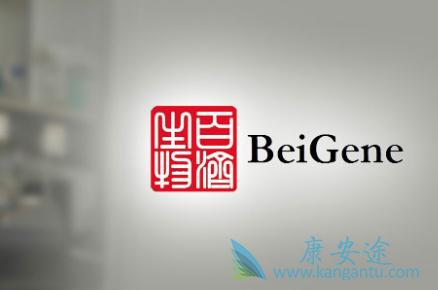 �޲�����