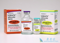 ��ƥ������yervoy����ȫ���׿�������е����߼������Ƽ�