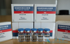 �������������ǹ����׸��걨�ٴ��׸��������е�PD-1��������ҩ��