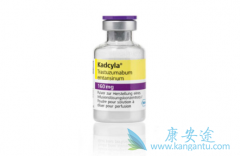 ���ٰ�ҩ��Kadcyla�ĸ�����Ҫ�Ȼ���С�ܶ�